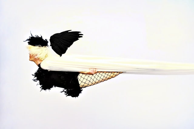 Drömtydning flyve